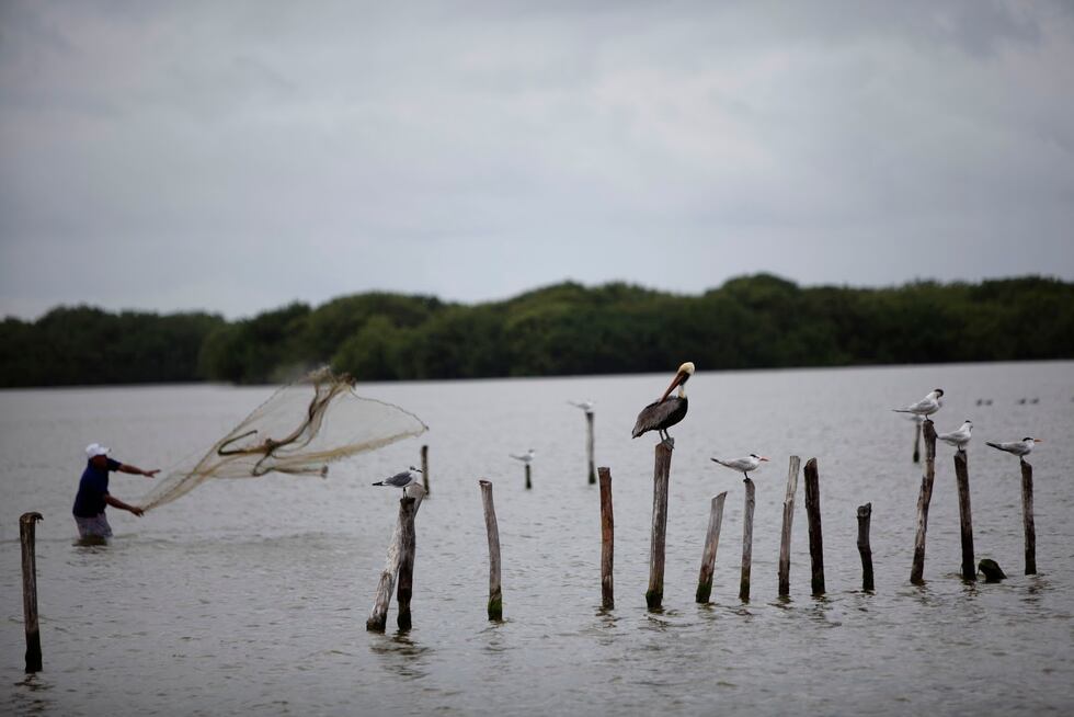 La contaminación es uno de los problema en las fuentes de agua de Venezuela. Foto: Juan Carlos Hernández